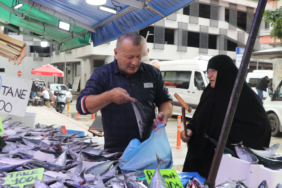 Rize'de Palamut Bereketi Balık Tezgahlarını ve Vatandaşın Yüzünü Güldürdü