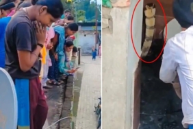 Hindistan'da Bir Evin Klozetinden Çıkan Dev Kobra Mahallede Korku Yarattı