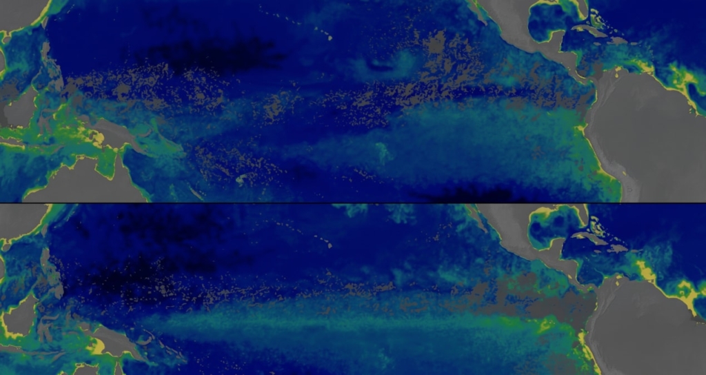NASA Uydusu Belgeledi: Süper El Nino Pasifik Okyanusunun Rengini Değiştirdi