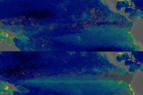 NASA Uydusu Belgeledi: Süper El Nino Pasifik Okyanusunun Rengini Değiştirdi